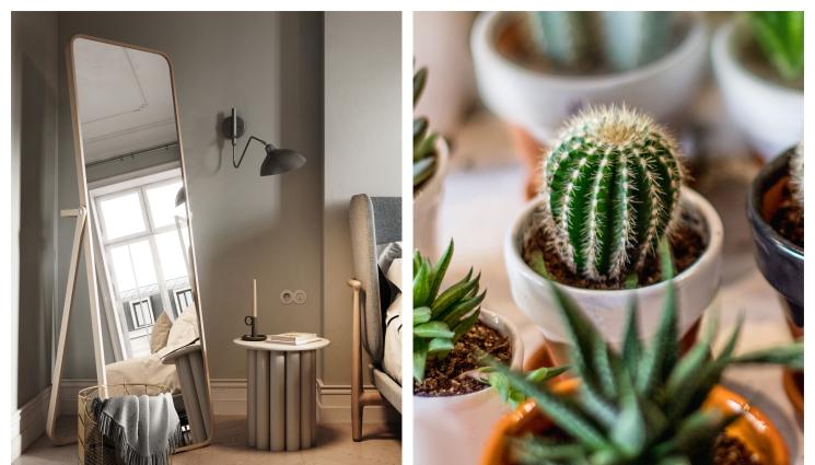 Фъншуй - Фъншуй съвети: Дървена мебел и кактуси красят кухнята