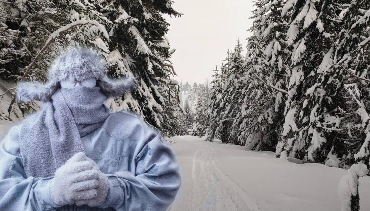 зима сняг студ