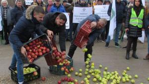 Представители на браншови организации в сектор Плодове и зеленчуци затвориха
