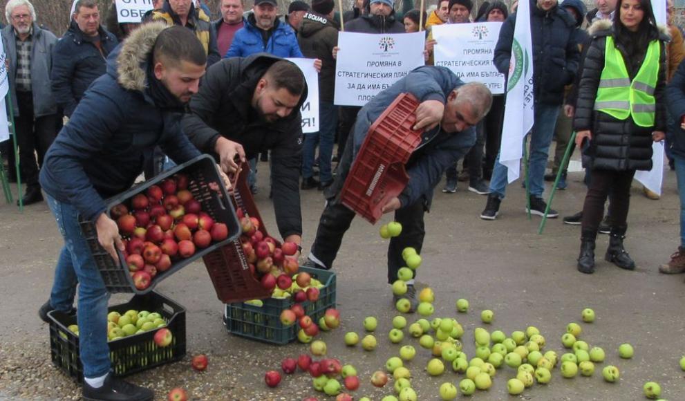 Представители на браншови организации в сектор Плодове и зеленчуци затвориха