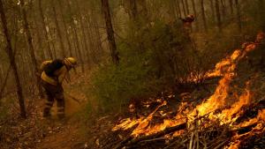 Пожарникарите се борят с десетки бушуващи горски пожари в Чили