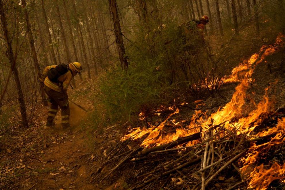 Пожарникарите се борят с десетки бушуващи горски пожари в Чили,