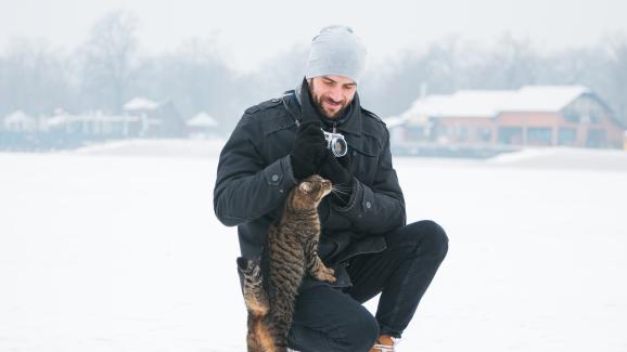 7 забавни зимни дейности за котки и техните стопани