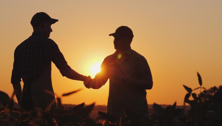 фермери - Агро Телеграф: Ирландия наема наши фермери за 7 бона на месец