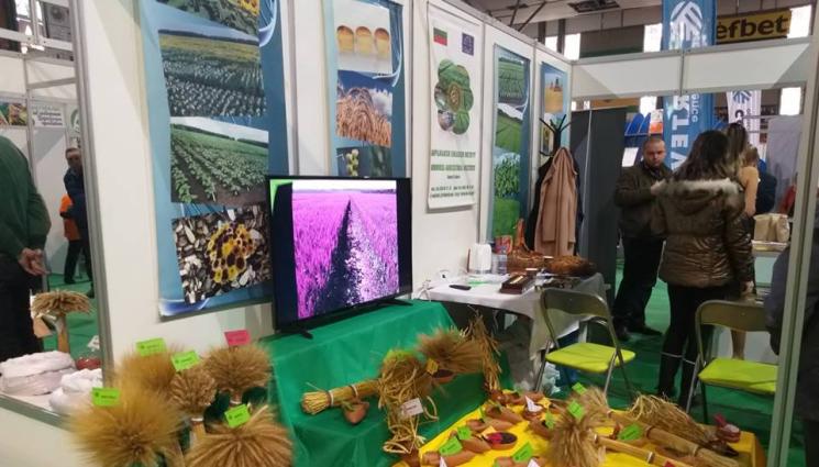 агро щанд - Агро Телеграф: Скачат семената за посев