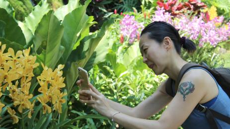 Ботаническата градина Сингапур