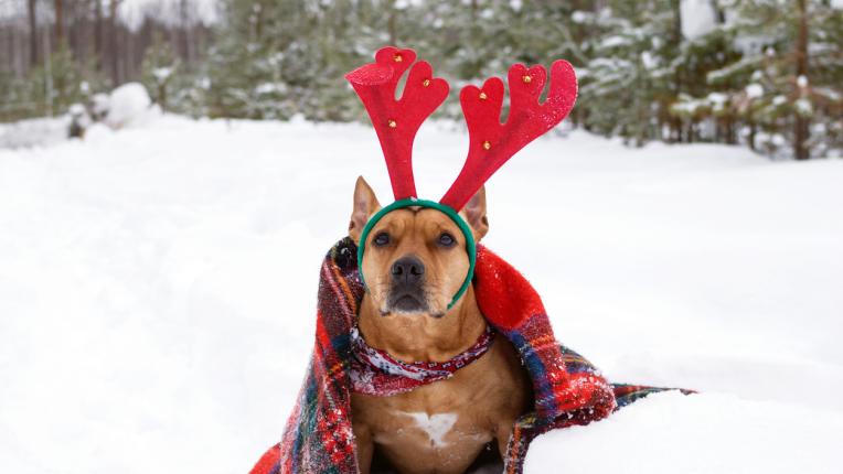  Дневен хороскоп за петък, 10 януари 