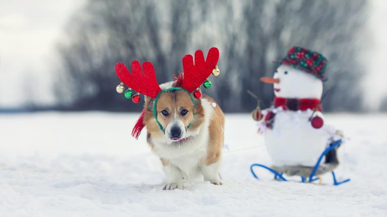  Дневен хороскоп за вторник, 7 февруари 