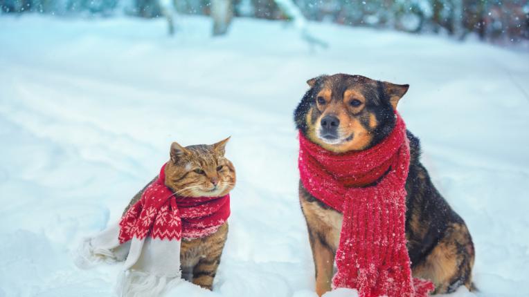  Дневен хороскоп за петък, 10 януари 