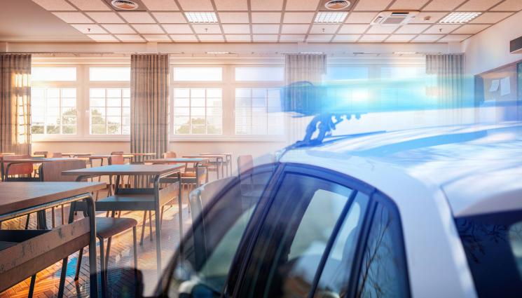 училище полиция