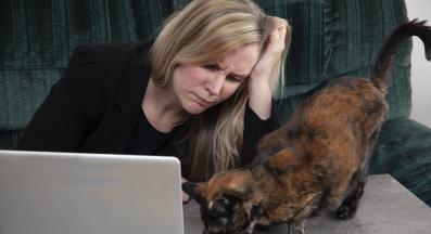 котка и собственик