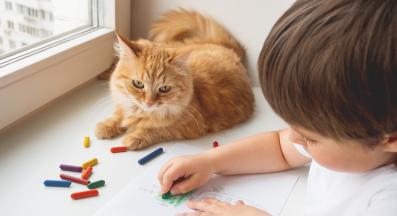 котка и дете