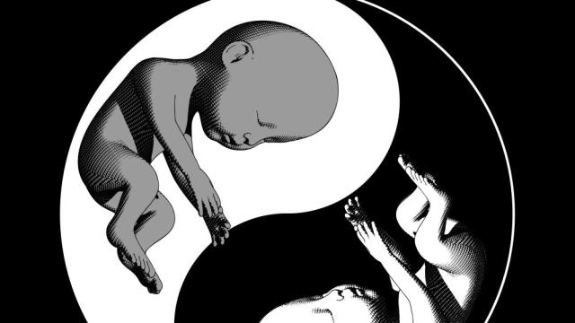 5 години по-късно: Как живеят първите в света генетично модифицирани деца