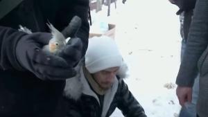 Спасителните екипи в турския град Малатия спасиха папагал който е
