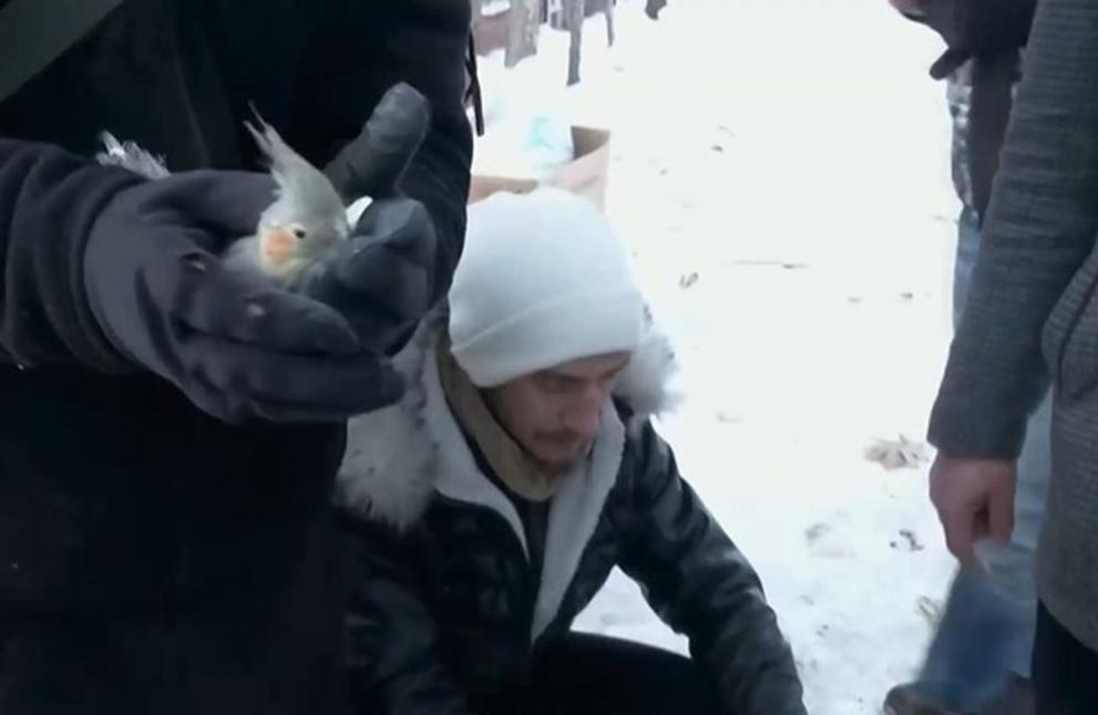 Спасителните екипи в турския град Малатия спасиха папагал, който е