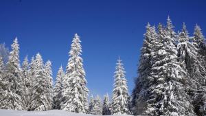 Предстоящите почивни дни обещават хубаво време за любителите на зимни
