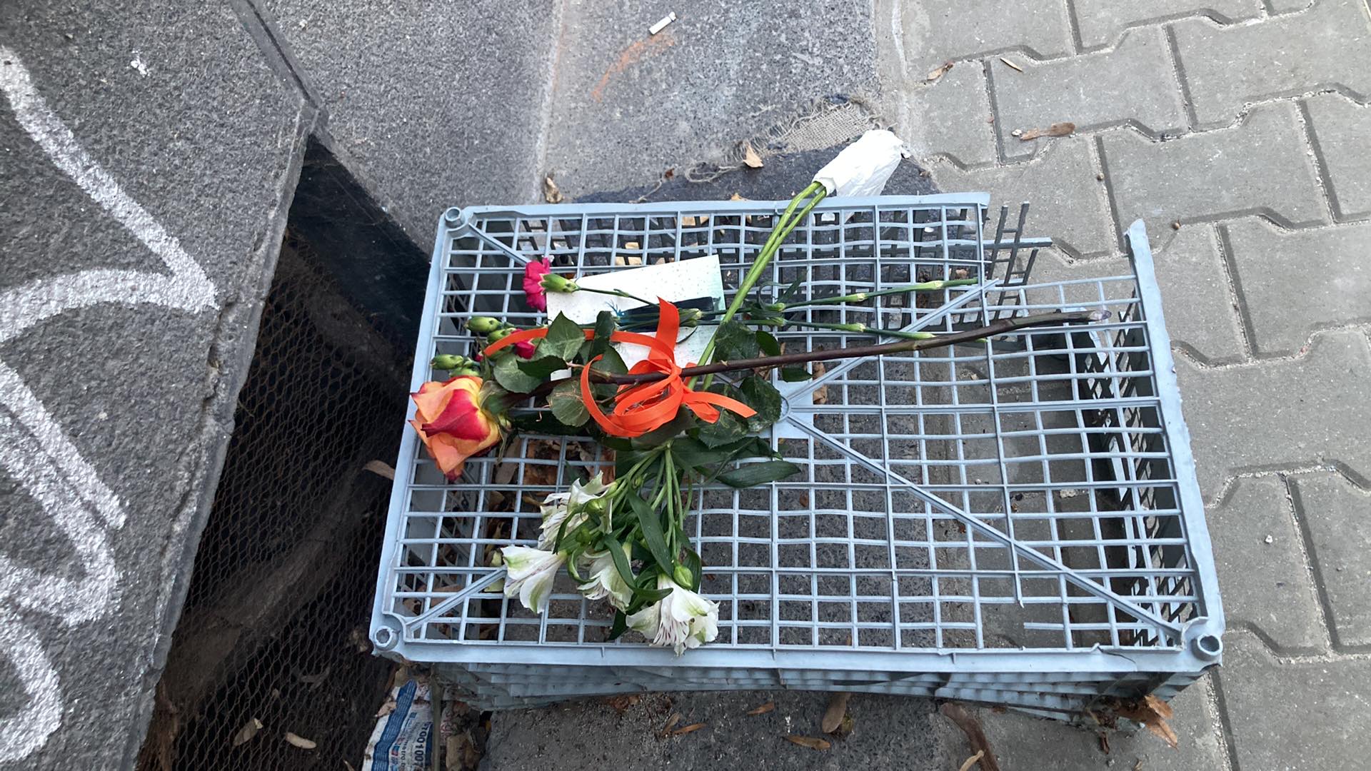 Иван Владимиров Нав