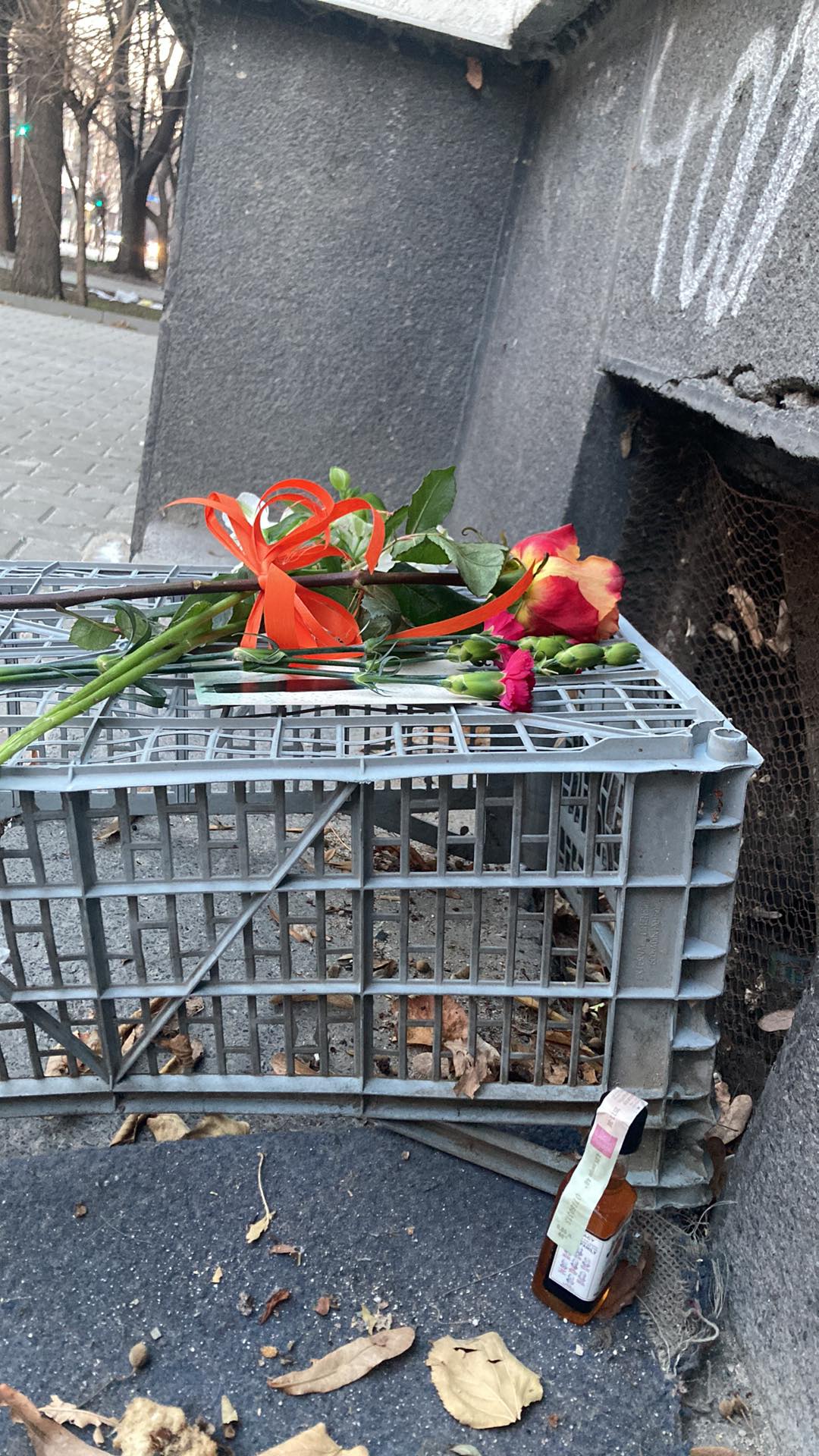 Иван Владимиров Нав