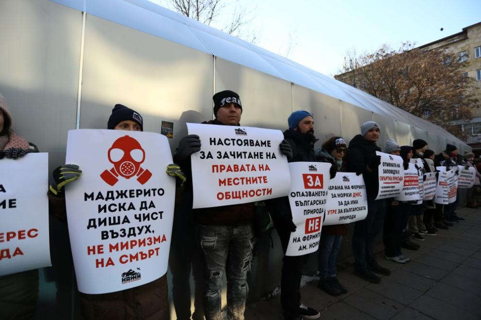 Протест в подкрепа на забраната за развъждането и вноса на