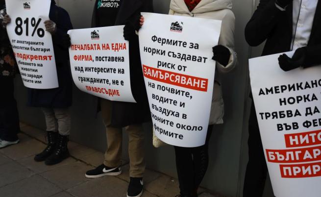 Протест в София в подкрепа на забраната за развъждането на американски норки
