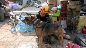 Куче от отряда на Планинската спасителна служба към БЧК на