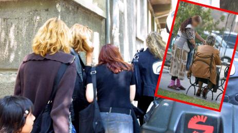 врачки крадли