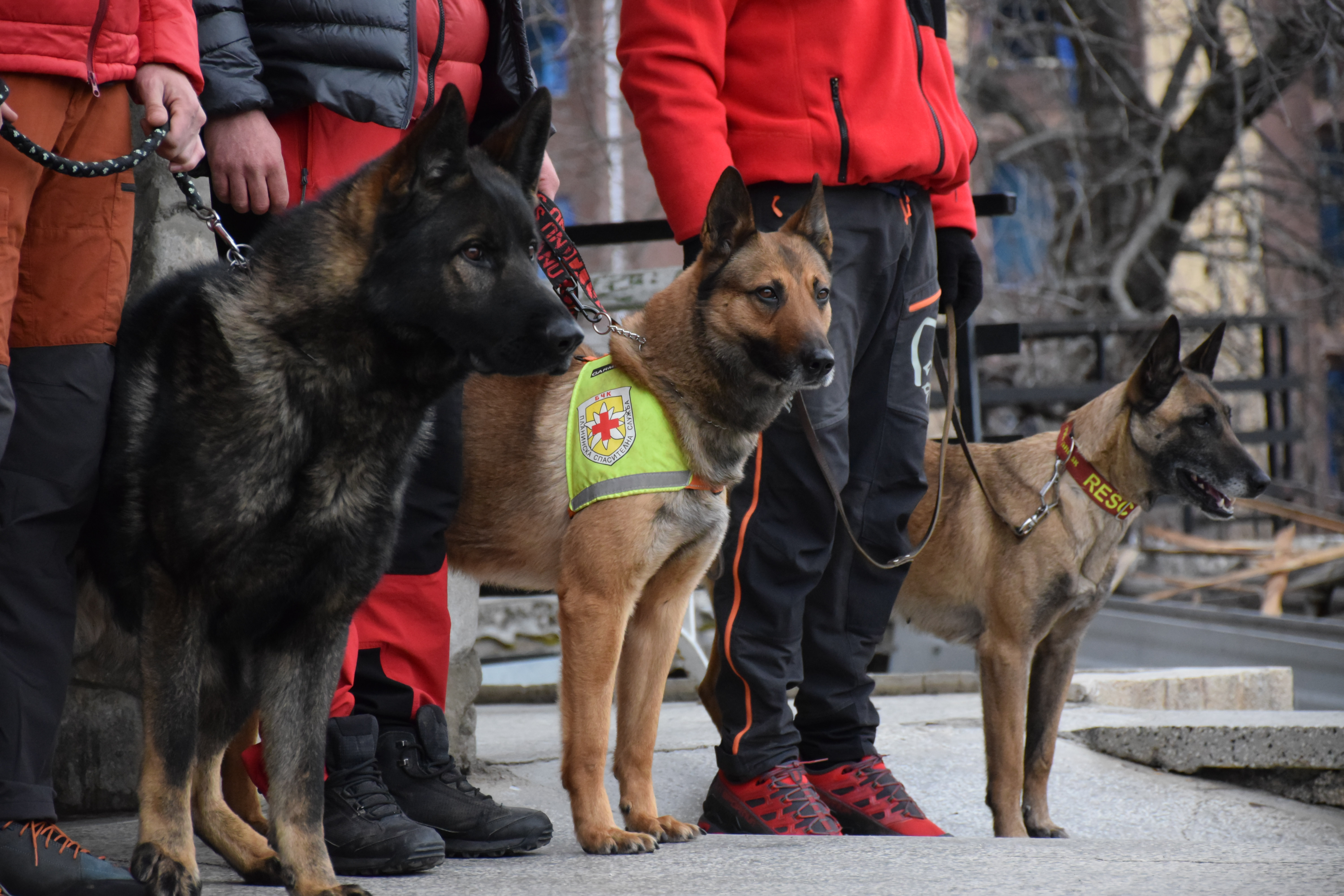 герои от Адана и Хатай