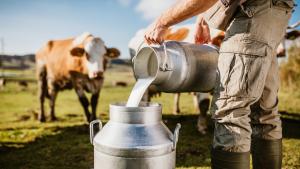 Европейската прокуратура съобщи че е предявила обвинение на български млекопроизводител получил средства
