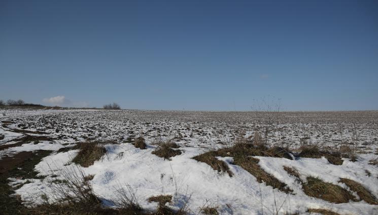 агро - Агро Телеграф: Подхранете житото с азот