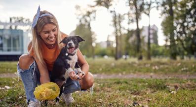 куче изхождане
