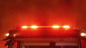 Голям пожар унищожи 30 дка млада борова в Хисарско Пожарна
