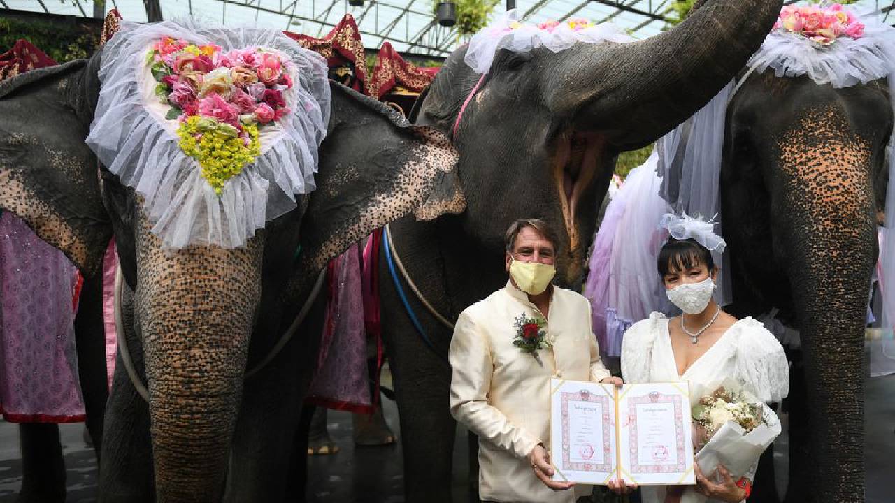 сватба слон Тайланд
