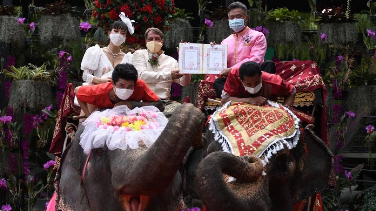 сватба слон Тайланд