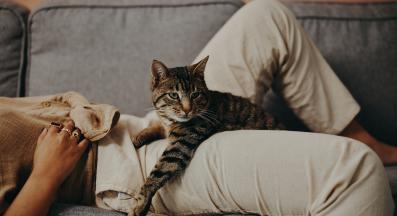 Котка и собственик