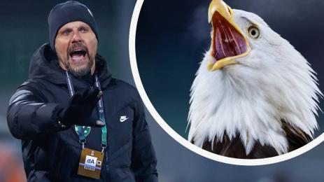 Анте Шимунджа Андерлехт орел