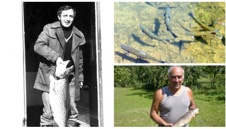 риболов - Търсете пъстървата на спокойни места през зимата