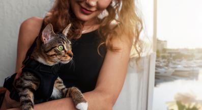 котка у дома