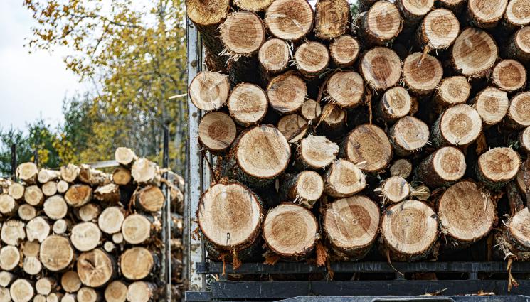 товарно ремарке - Товарно ремарке премаза работник