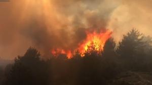 Овладян е пожарът над село Елешница община Разлог  50 декара е