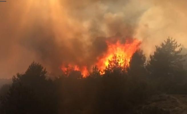 Екотерористи ли са причината за огромните пожари в Канада