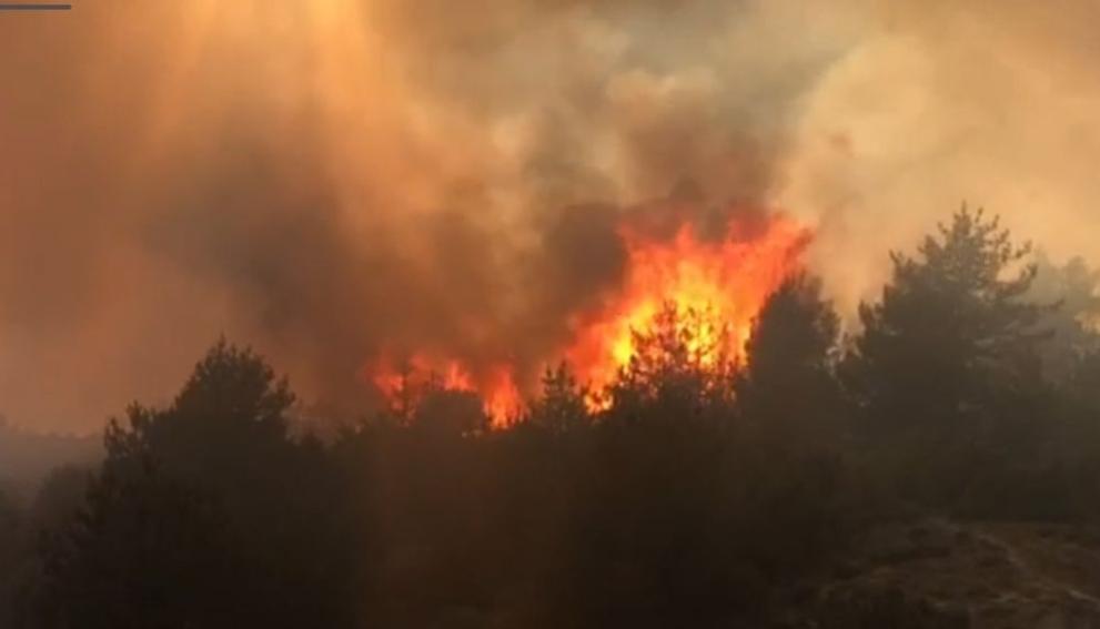 Овладян е пожарът над село Елешница, община Разлог. 50 декара е