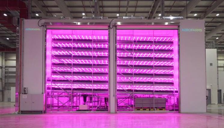 вертикални ферми - Агро Телеграф: Абу Даби залага на вертикалните ферми за продоволствена сигурност