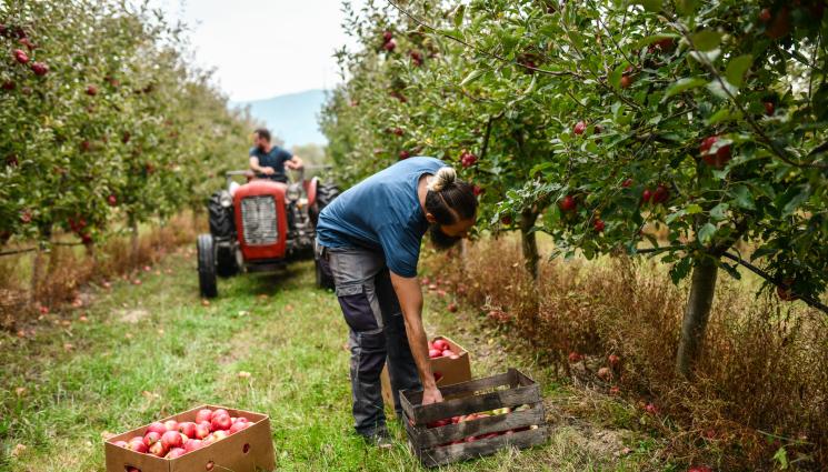 земеделци - Агро Телеграф: Произвели сме земеделска продукция за 12,9 млрд. лв.