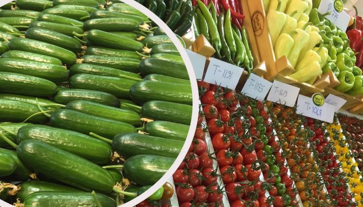 зеленчуци - УДАР ПО ДЖОБА: Салатата по-скъпа от пържолата