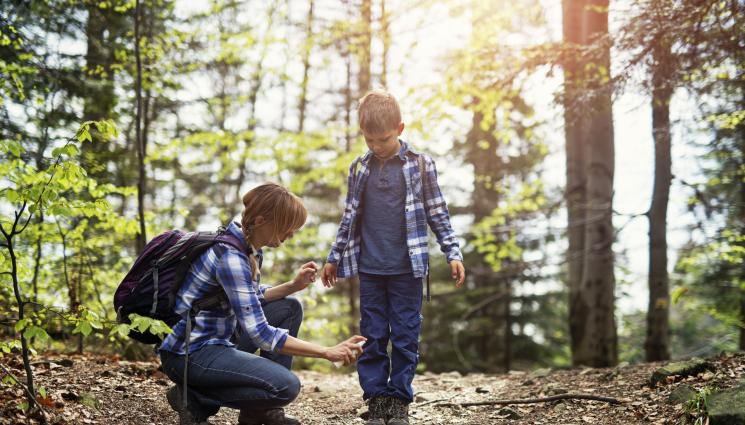 кърлежи - Кърлежи сеят балкански грип