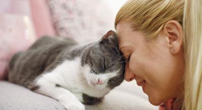 котка у дома