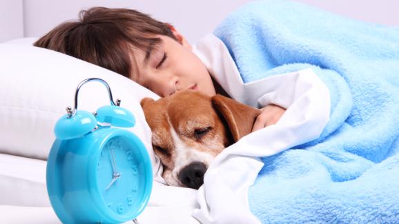 Може ли тиктакащ часовник да помогне на кученцето да заспи