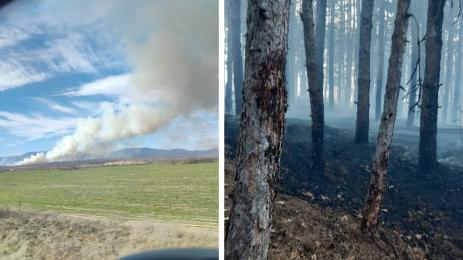 пловдивско