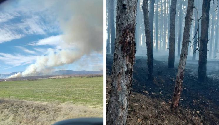 пловдивско - ОГНЕН АД: Голям пожар в Пловдивско