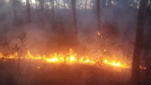 Пожари вилнеят в хисарските села Кръстевич Беловица Красново Старосел